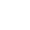 ICON-2