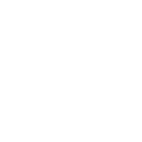 ICON-3